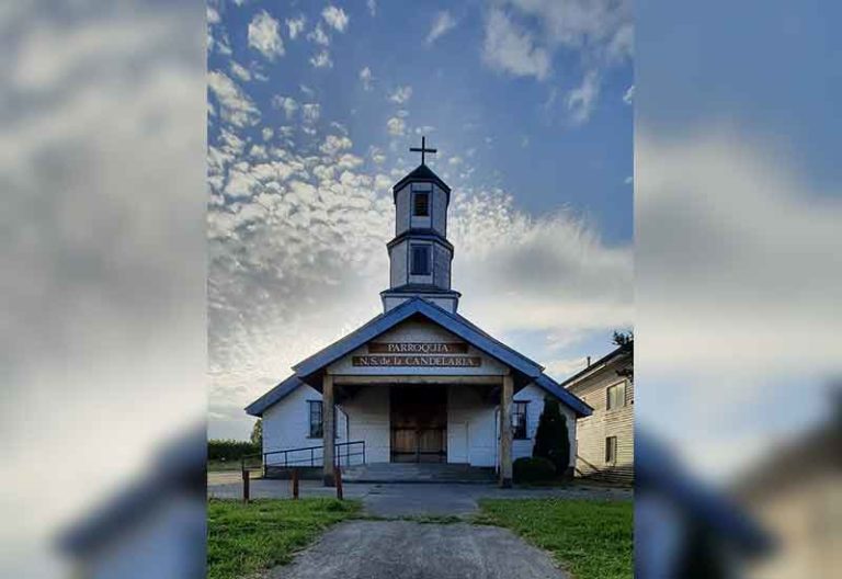 NUESTRA SEÑORA DE LA CANDELARIA (2000), Alerce histórico