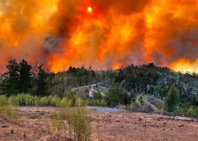 Caritas Chile anima al cuidado de la vida y solidaridad ante los incendios forestales en Biobío y Ñuble