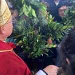 WhatsApp Image 2026-03-29 at 13.28.04