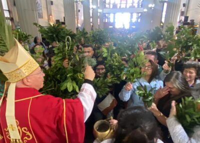 Con Domingo de Ramos se dio inicio a la Semana Santa en Puerto Montt