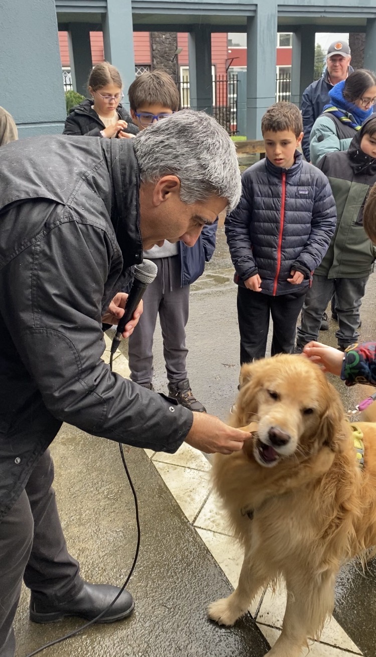 Por segundo año consecutivo, la Parroquia San José de Llanquihue, celebró la festividad de San Francisco de Asís con una celebración de mascotas.